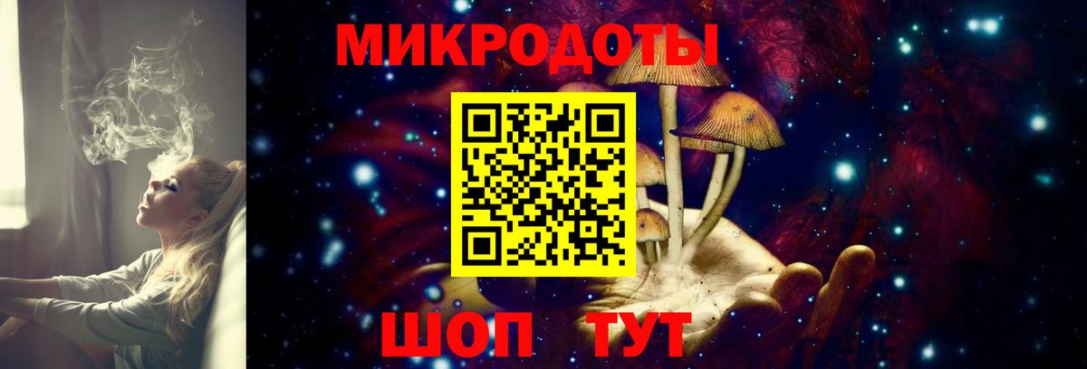 Галлюциногенные грибы Psilocybine cubensis Реутов