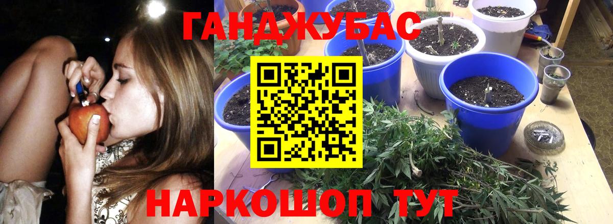 Канабис OG Kush Реутов